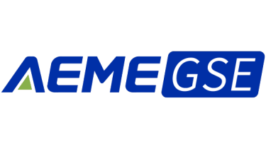 aeme gse logo